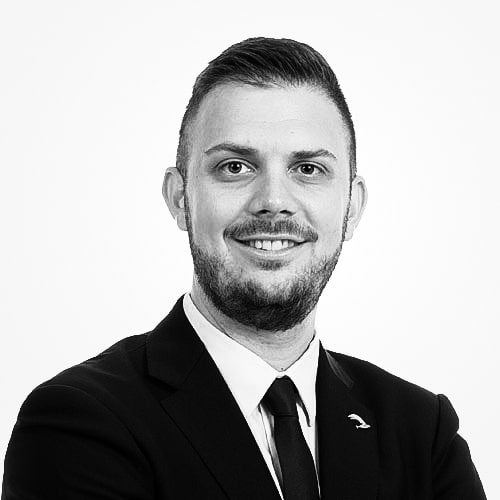 Zini Daniele Zini Daniele